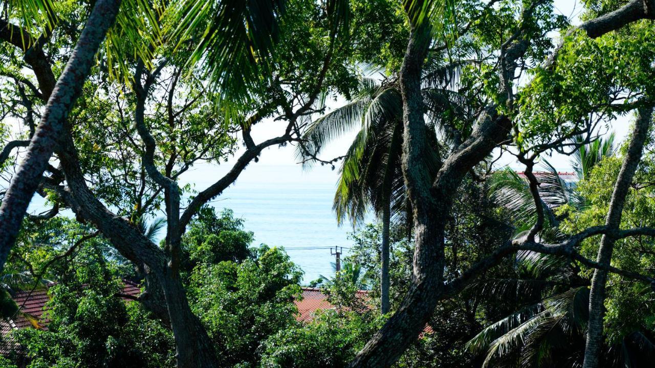 Sea Bay Inn Тангалла Экстерьер фото