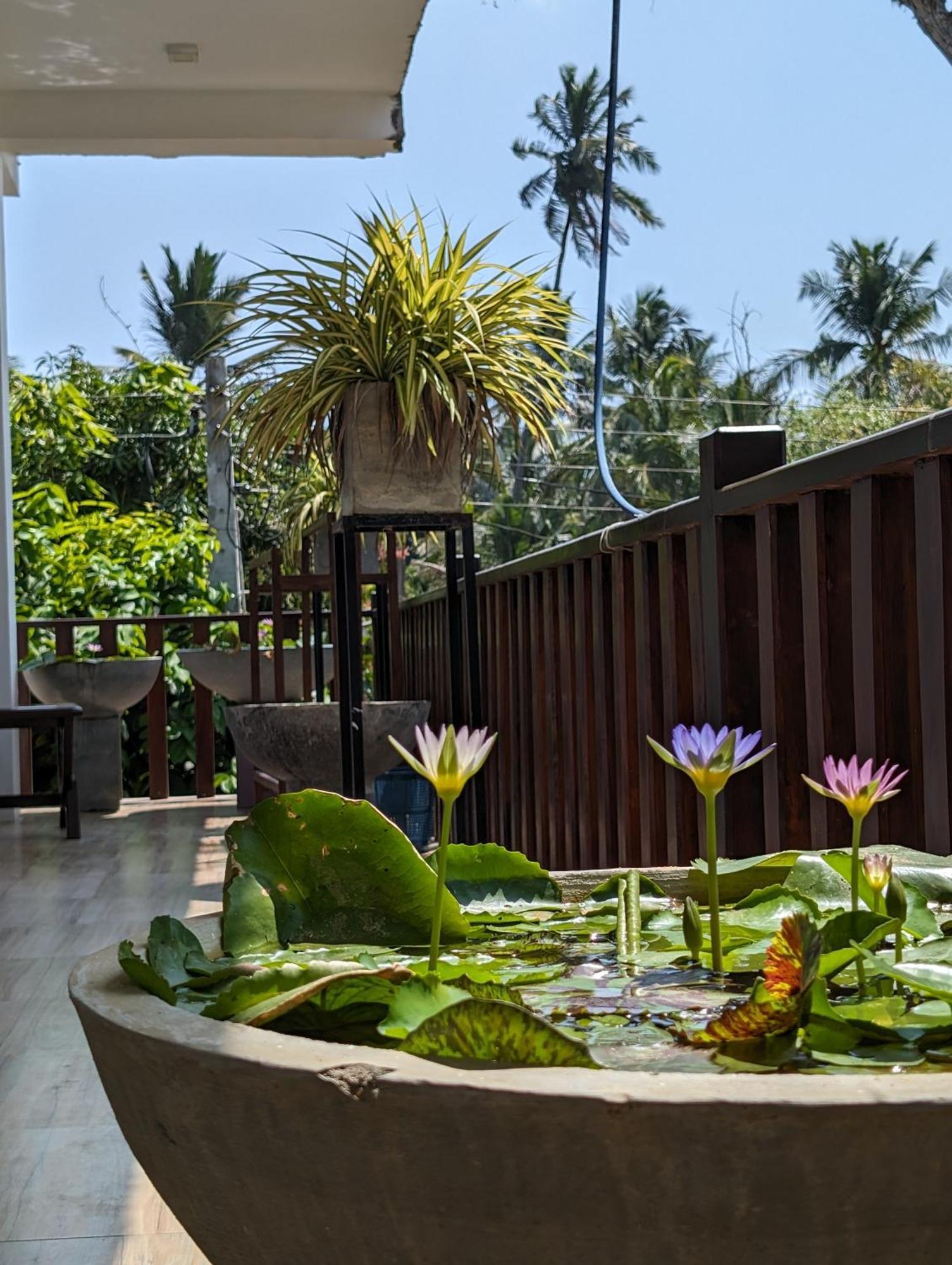 Sea Bay Inn Тангалла Экстерьер фото